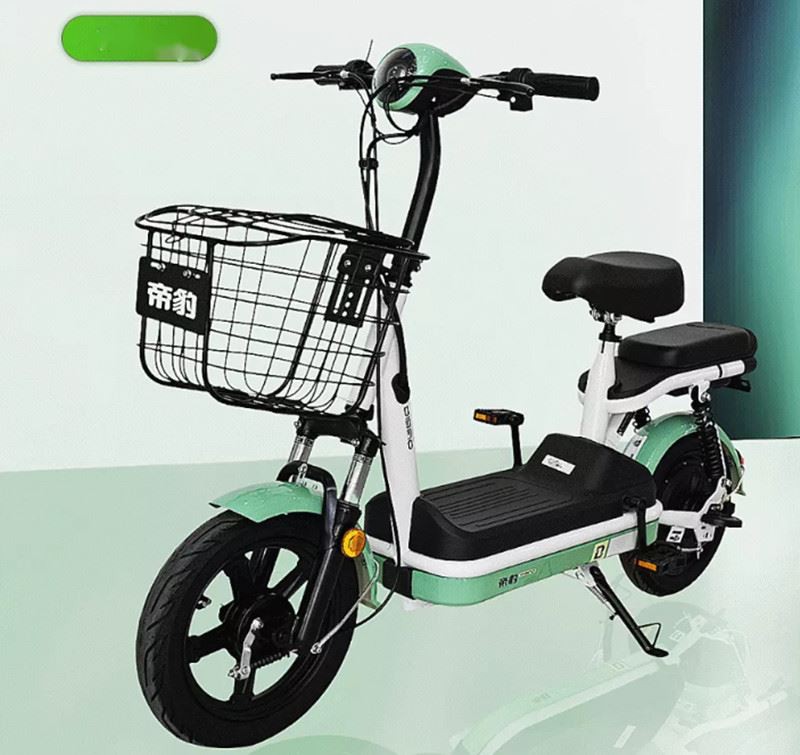 the The New Mini Ebike